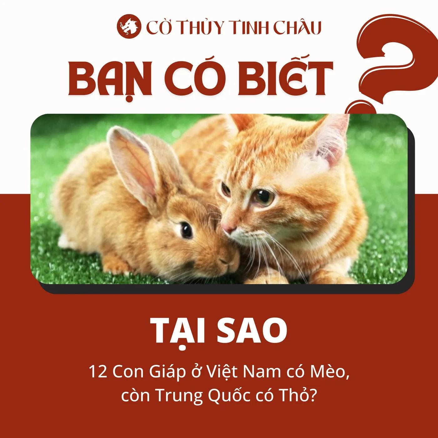 Vì Sao Việt Nam Có Mèo, Trung Quốc Lại Có Thỏ Trong 12 Con Giáp?