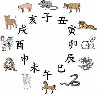 Vì Sao Việt Nam Có Mèo, Trung Quốc Lại Có Thỏ Trong 12 Con Giáp?