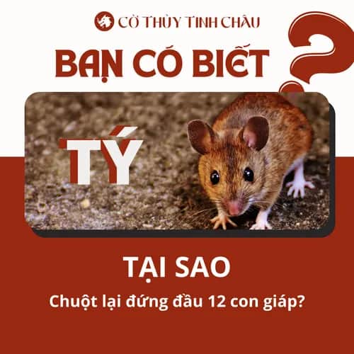 Vì Sao Chuột Đứng Đầu 12 Con Giáp?
